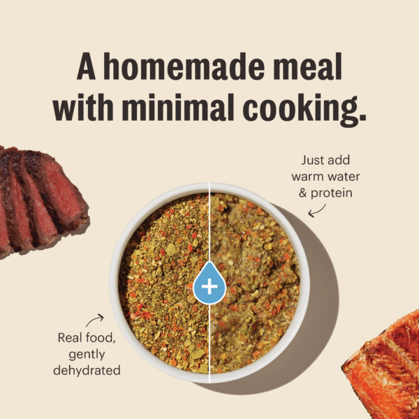 Whole Grain Veggie & Fruit Dehydrated Base Mix