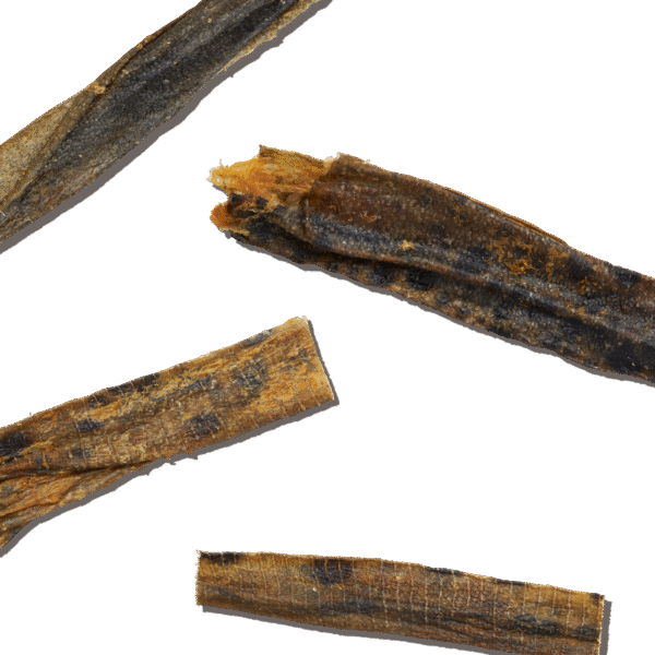 Ocean Chews Hearty Wolffish Skins Beams