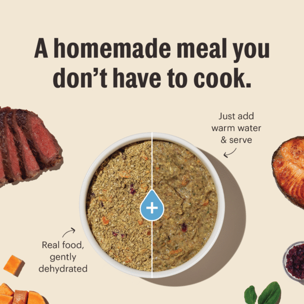 Dehydrated Gourmet Grains Chicken & Duck